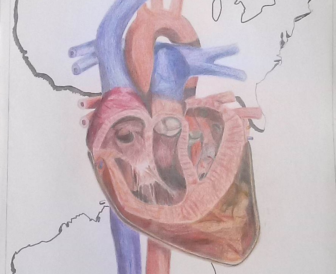Color pencil heart